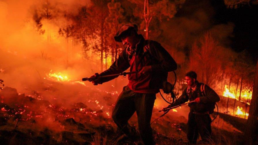 Suramérica acumula hasta septiembre el mayor número de incendios forestales en 14 años Suramérica acumula hasta septiembre el mayor número de incendios forestales en 14 años